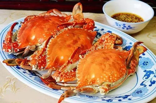梭子蟹最佳捕捞季节：揭秘当季梭子蟹的捕捞与上市时间