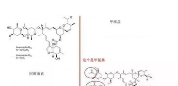 先说说 得弄明白这俩啥区别