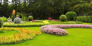 花期控制：花卉开花的调控术