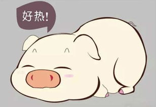 产房热应激损失真的被严重低估了吗？它会不会影响未来几胎产仔数？
