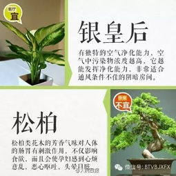 正确使用农药， 保护植物健康
