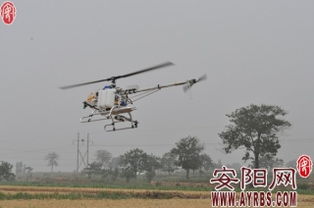 杀虫剂还是除草剂