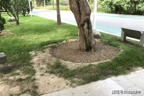 透气管铺设，氧气满满