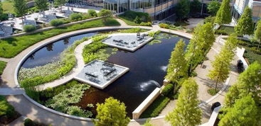 2. 水景设计：生命的源泉