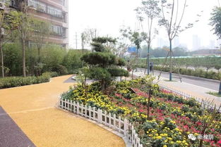 夏季遮荫：怕热植物有救星