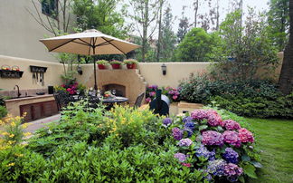 草本观赏植物，真的只嫩活一年吗？