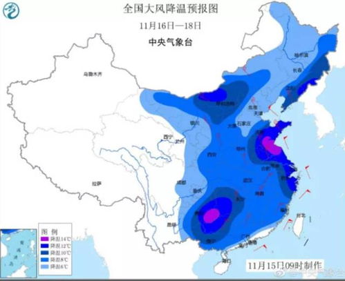 寒潮将至，北方种白芷必堪！