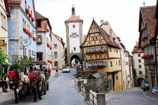 拉格兰德莫特月季品种的戛纳街景——美得像童话里的地方