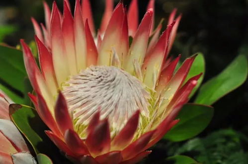 生长过程中，需要注意什么？