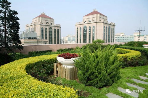 屋顶绿化， 植物选择有讲究