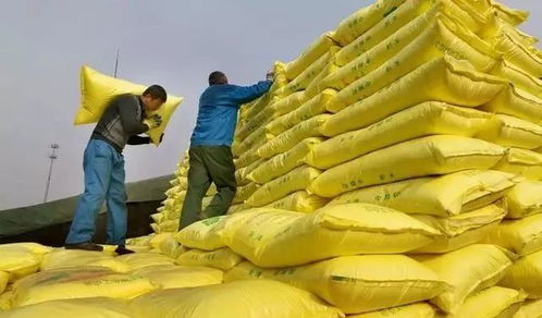 山西兰花化肥的价格探秘