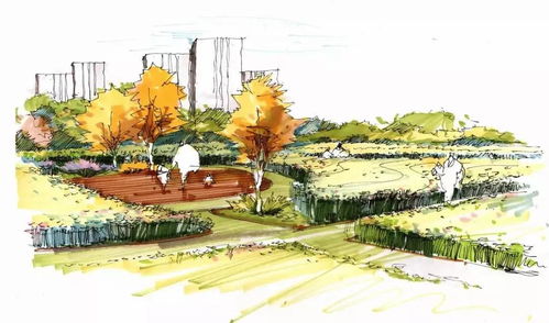 主创设计师：薪酬攀升的绿荫