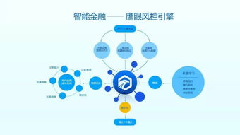 海兰鸡饲料消耗优化策略