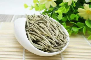 白毫银针尝鲜季节，哪个月份最适合品鉴呢