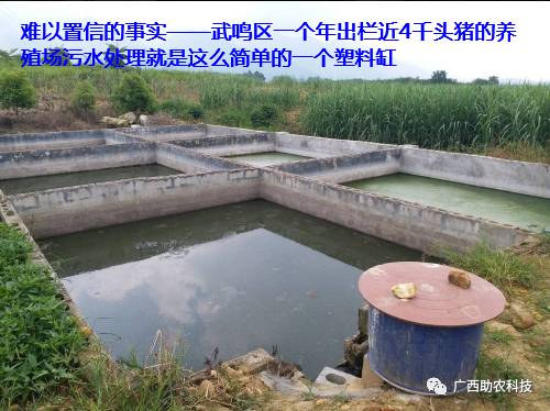 养殖场水质净化，动物畅饮纯净水源