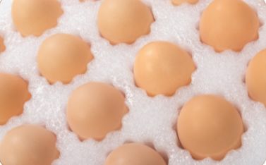 杜仲叶提取物在猪饲料中的作用：提升生长性能与肉质品质