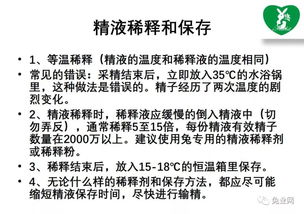 优化养殖技术，提升繁殖效率