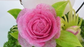 抖音上爆火的月季花