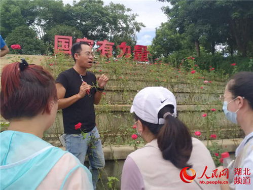 月季专家授课， 传授养护技巧