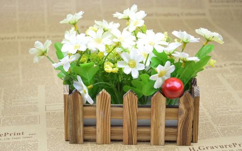 四川的喜庆花朵：正红色小喇叭