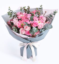 粉佳人玫瑰简介