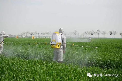 ran后这农药可得选对