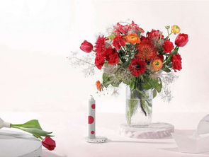 春节花卉种植推荐：美丽又迷人的选择