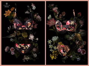 炫舞世界中的花朵盛宴