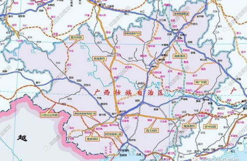 广西茶油苗品种推荐：高效种植指南与基地直联电话