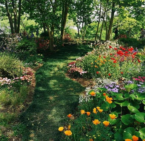 二、 整形与修剪