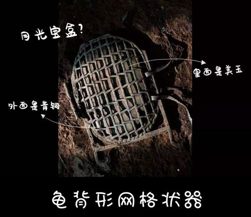 葛根根形奇特，蕴含神秘力量