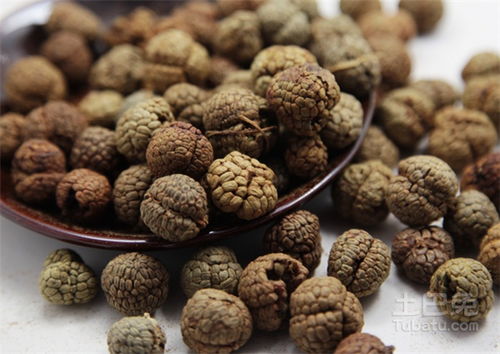 香草药图鉴里的神秘植物