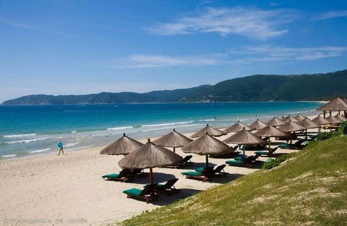 海南热带花卉的生存之道