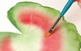 树叶：自然的画笔