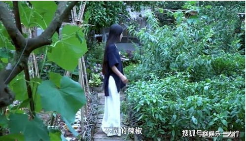 萝卜干揉搓入味， 味道独特