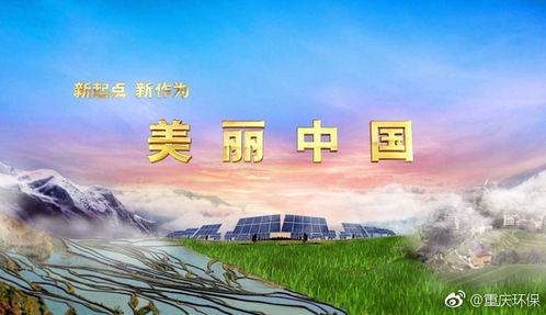 黄兰花，寓意美好
