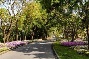 园林绿化工程监理工作内容详解