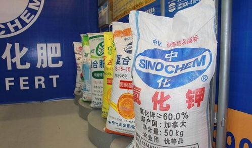 化肥涨价的具体情况