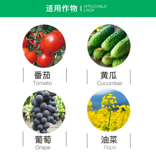 江西禾益20%腐霉利农药：葡萄灰霉病的克星