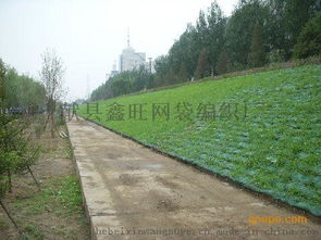 张家口矿区的复绿秘籍