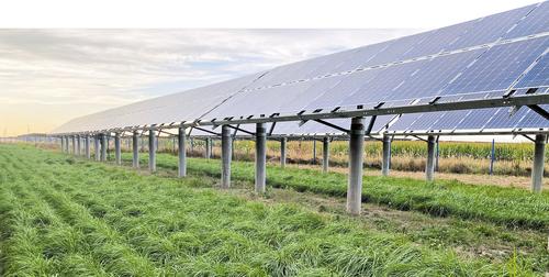 牧草种植的实测数据