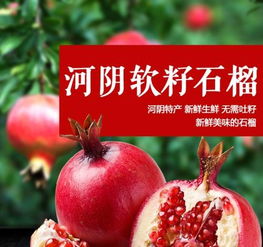 石榴长虫子了怎么办？有没有安全有效的除虫方法