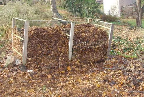 石缝种植大揭秘