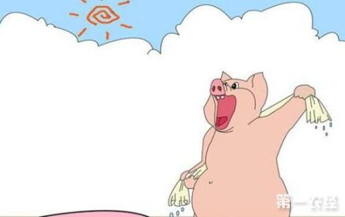 高温引发猪热应激会导致哪些严重经济损失？