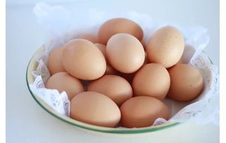 中草药的高蛋白， 就像带刺的玫瑰