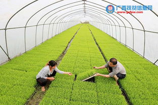 像育秧苗般精心培育农业新秀