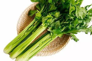 勒菜富含营养，有哪些神奇功效