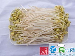 豆芽有毒鉴别：观察芽体颜色、气味
