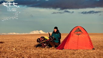 高海拔草场， 生命力才是关键