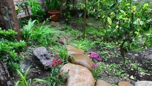 梅雨季救命三招，应对雨水不再愁